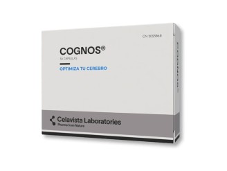 Cognos memoria y concentración