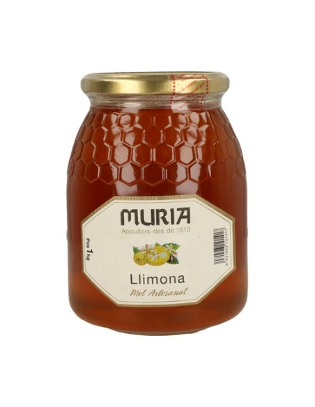 Miel limónero 1 kg Muria