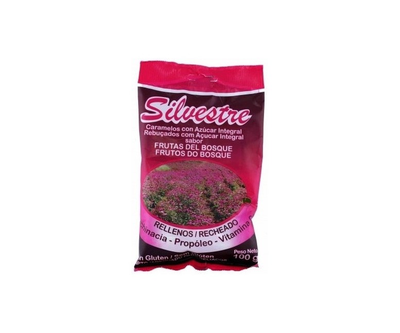 Caramelos frutas del bosque rellenos 100 g Silvestre