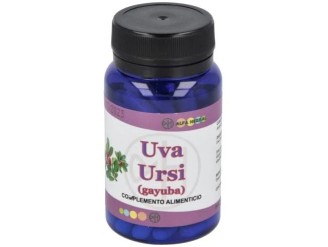 Uva Ursi Gayuba