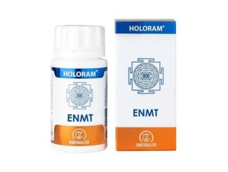 Holoram Enmt