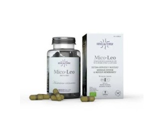 Mico leo (melena de león) con vit. c