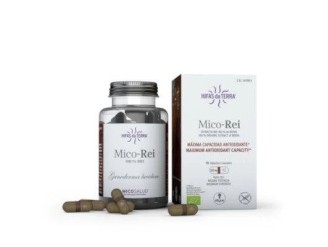 Mico Rei (reishi)