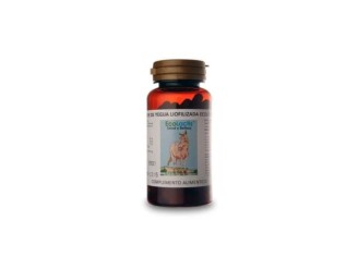 Leche de yegua liofilizada eco