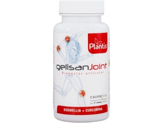 Gelisan Joint
