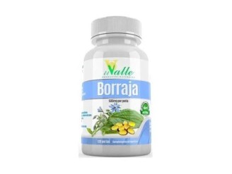 Aceite de borraja