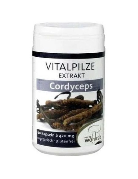Cordyceps - Pilze Wolhrab 60 cap Pilze Wolhrab