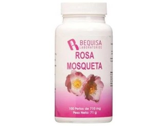 Rosa mosqueta