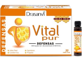 Vitalpur defensas