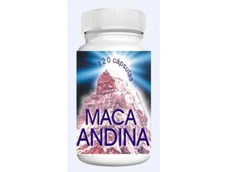 Maca Andina