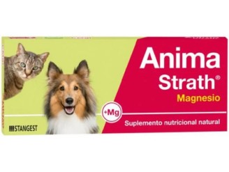 Anima-strath magnesio comp bote vet