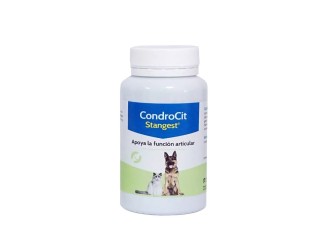 Stanvet Condrocit