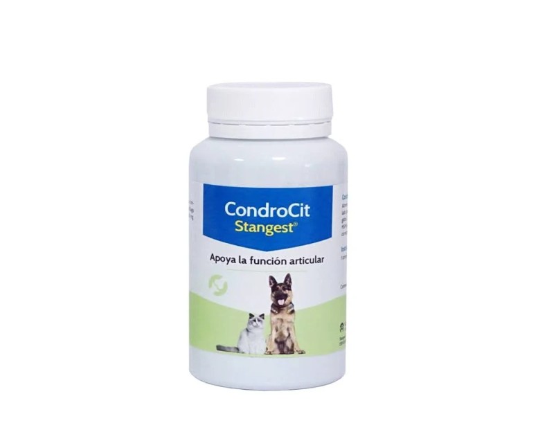 Stanvet Condrocit 60 tab Stangest