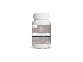 Condroitina glucosamina msm