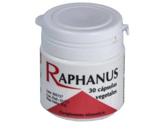 Raphanus - Codival