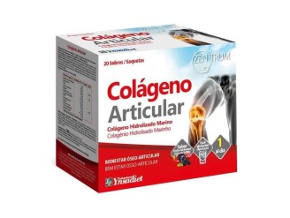 Zentrum colágeno articular