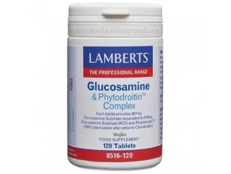 Complejo de glucosamina y phytodroitin
