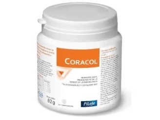 Coracol - Pileje