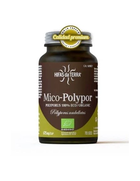 Mico polypor (polyporus) hdt 70 cap Hifas da terra
