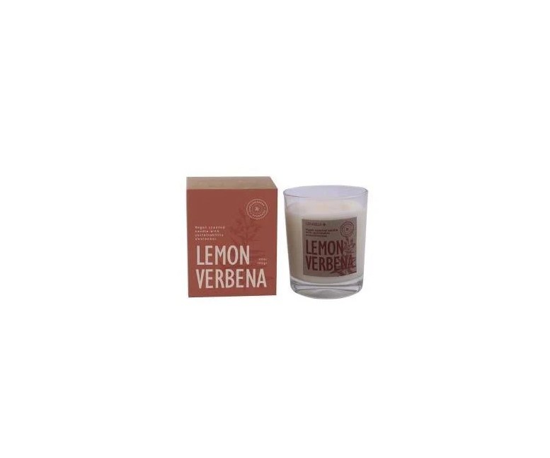 Vela vaso botvaslv lemon verbena 1 unidad Cerabella