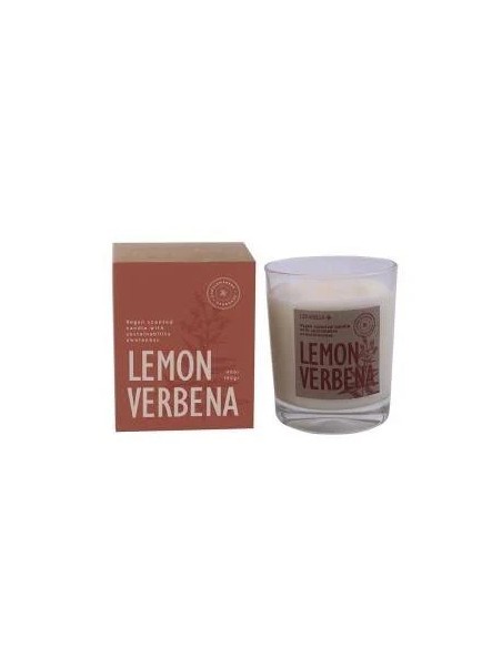 Vela vaso botvaslv lemon verbena 1 unidad Cerabella