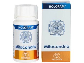 Holoram mitocondria