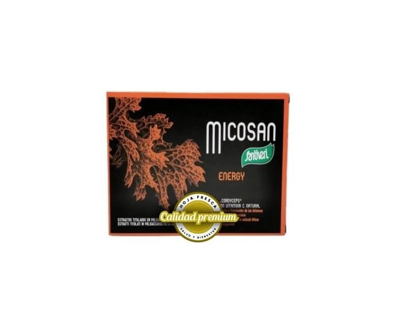 Micosan Energy 40 cap Santiveri