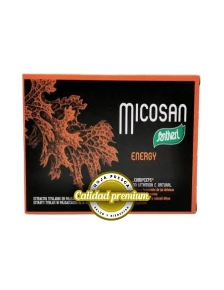 Micosan Energy 40 cap Santiveri