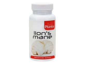 Lion´s mane plantis