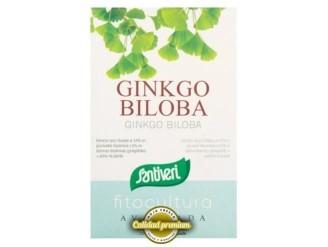 Ginkgo biloba