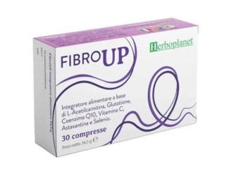 Fibro up