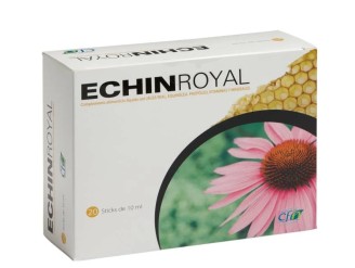 Echin royal