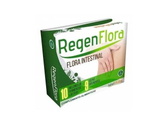 Regenflora - Saludalkalina