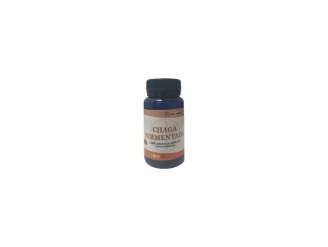 Chaga fermentada