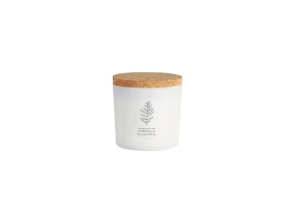 Vela tarro blanco citcore citronela-eucalip