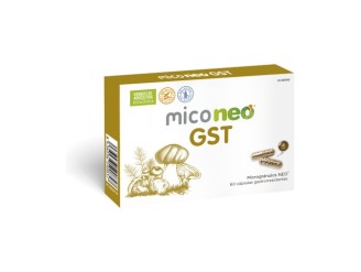 Mico Neo GST