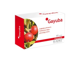 Gayuba