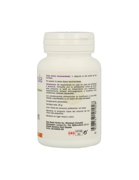 Ginkgo Fórmula 30 cápsulas de 576mg Sura Vitasan