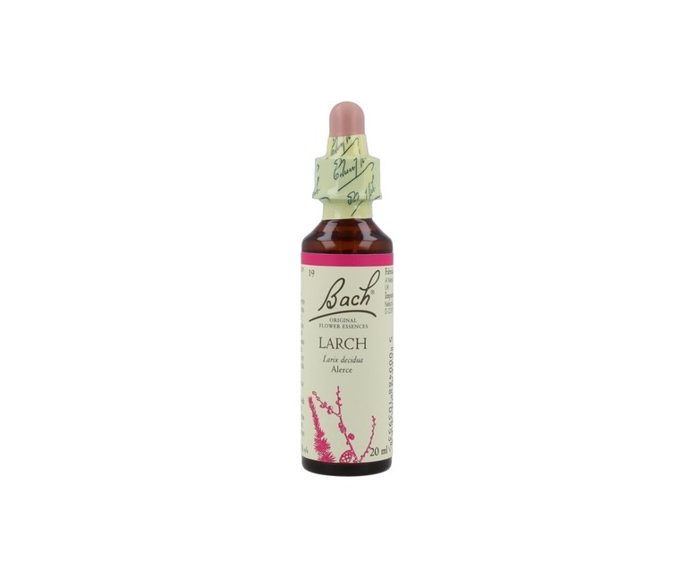Bach Larch 20 ml Bach Original