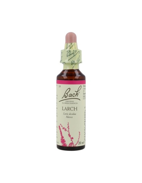 Bach Larch 20 ml Bach Original