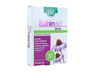 Echinaid urto