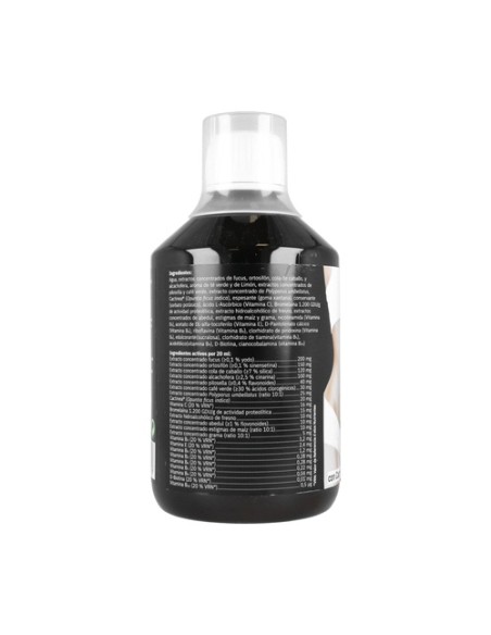 Slank water Top Action Gold 500 ml Espadiet