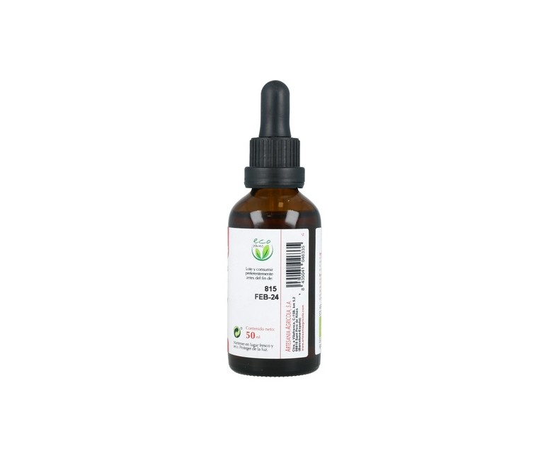 Extracto de Jenjibre ECO 50 ml Plantis
