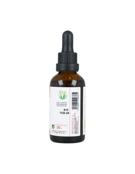 Extracto de Jenjibre ECO 50 ml Plantis