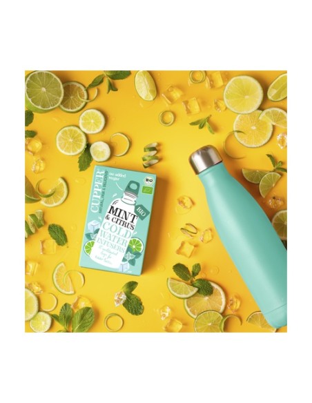 Infusión fría de menta y cítricos Bio 10 bolsitas infusoras Cupper