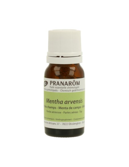 Aceite esencial de Menta de Campo 10 ml Pranarom