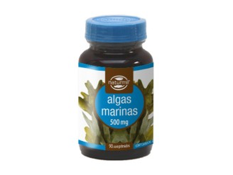 Algas Marinas