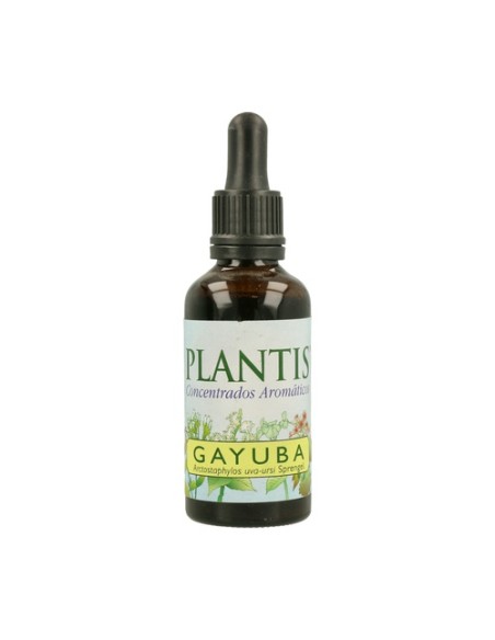 Extracto de Gayuba 50 ml Plantis