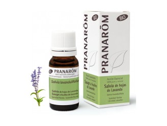 Salvia de Hojas de Lavanda Bio