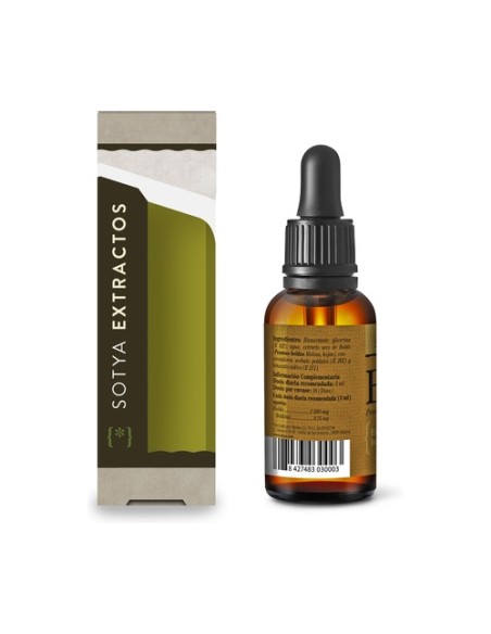 Boldo 60 ml Sotya